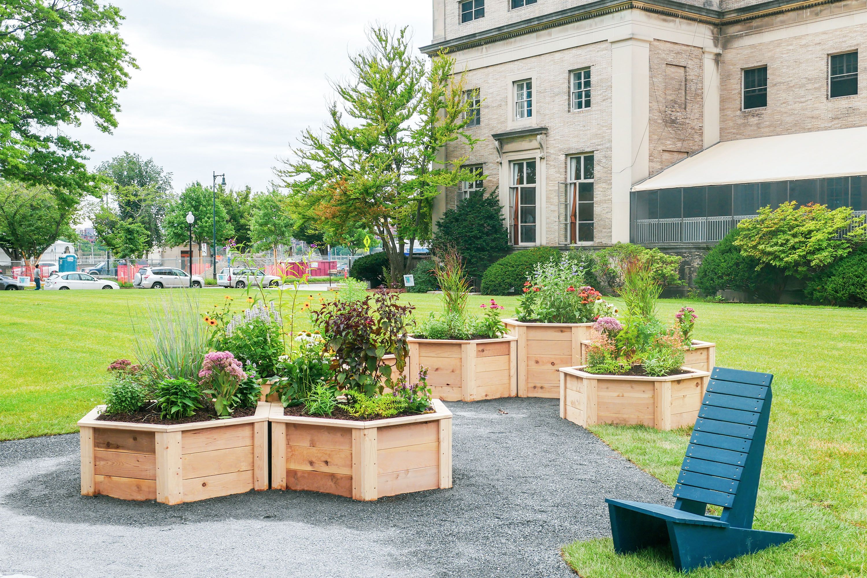 Mit S New Sustainability Garden Creates A Buzz Mit News Massachusetts Institute Of Technology