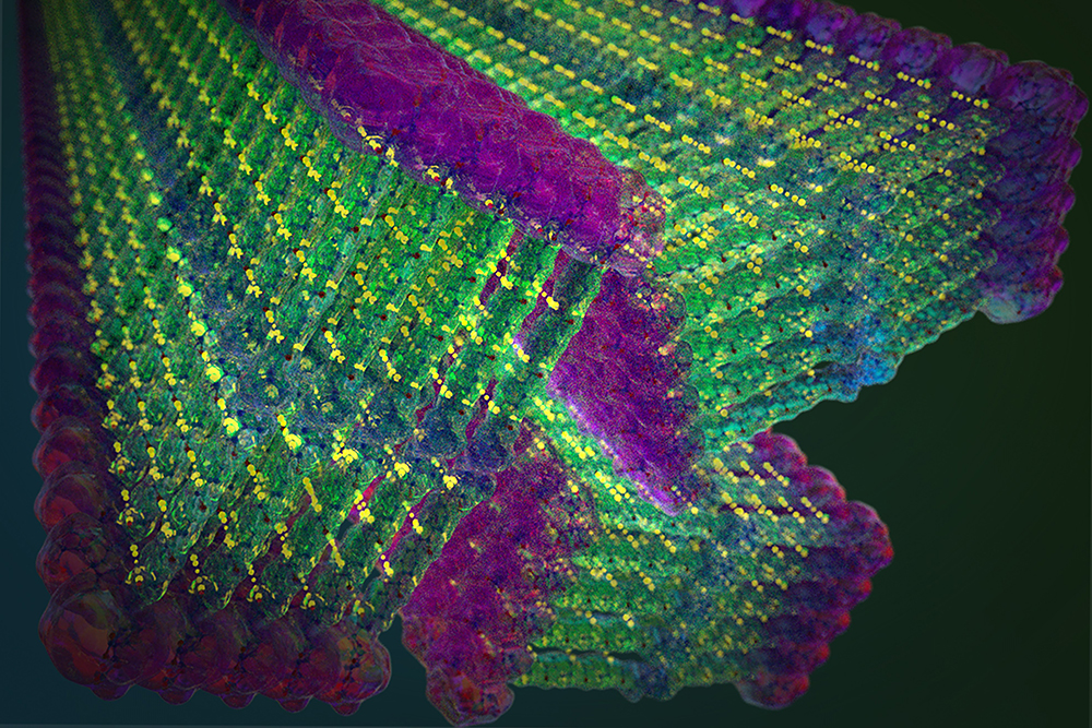 Researchers construct molecular nanofibers that are stronger than steel - MIT News