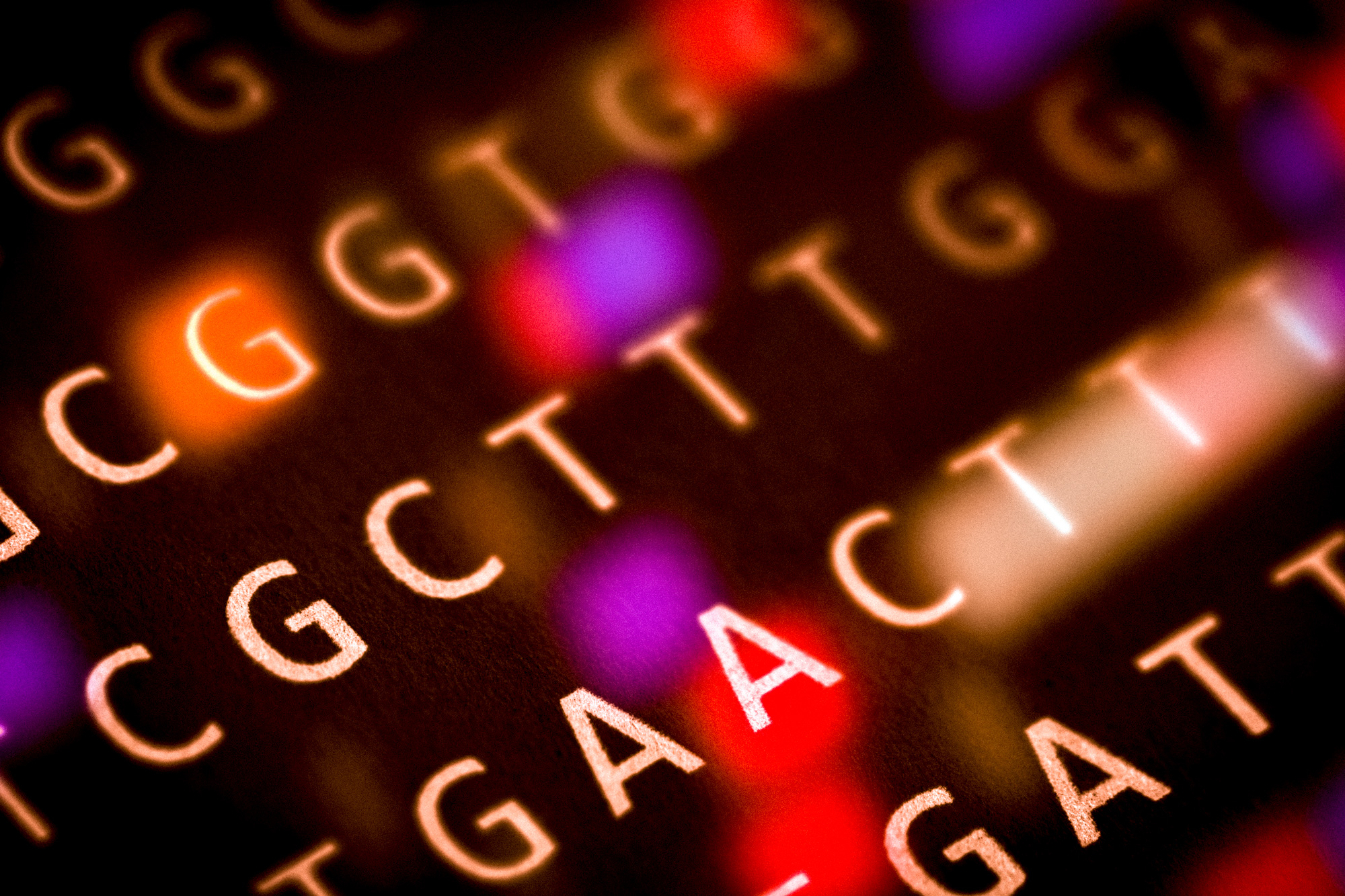MIT Noncoding Genome 01 Press 