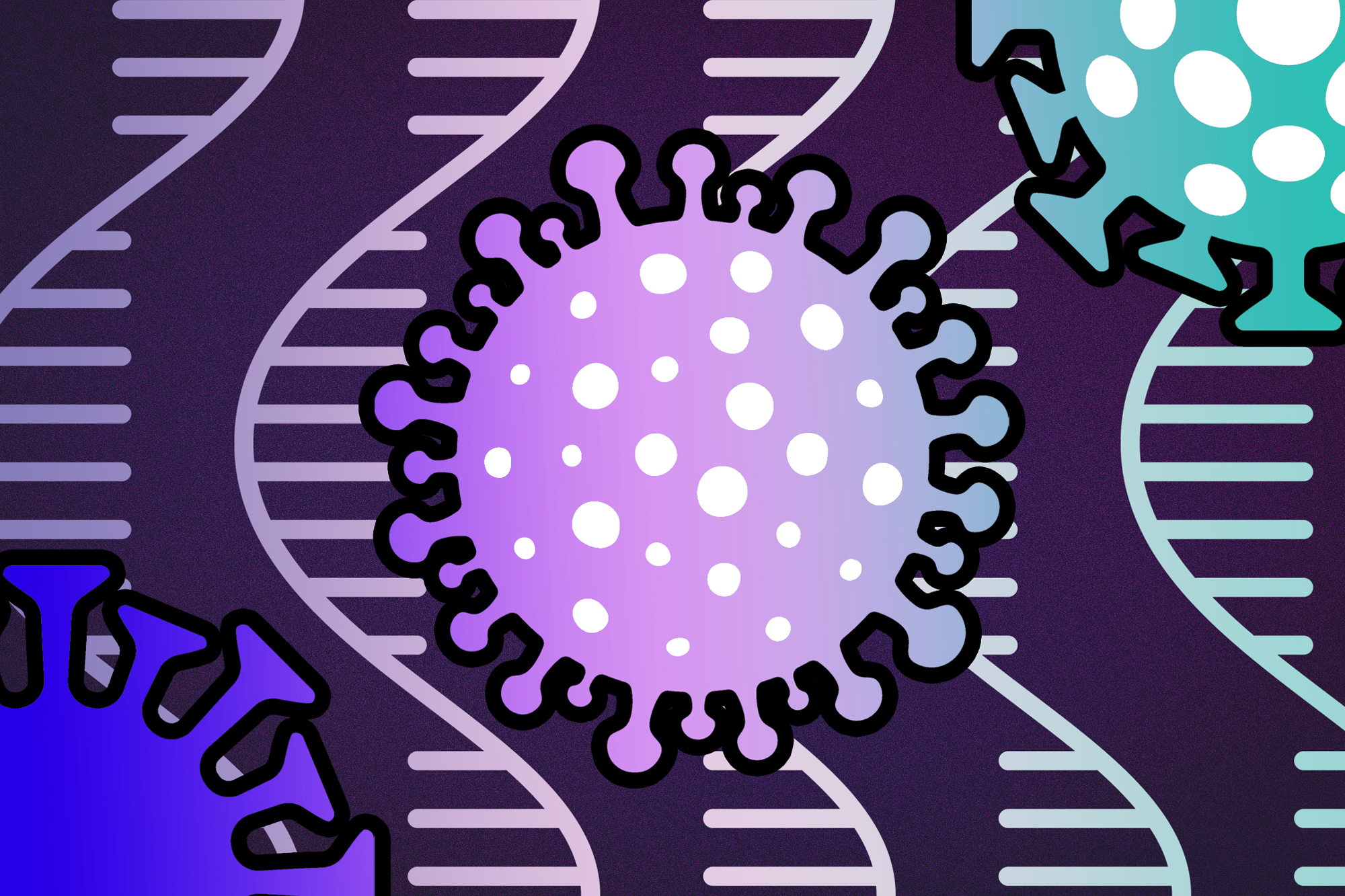 Mapping the human genetic architecture of COVID-19