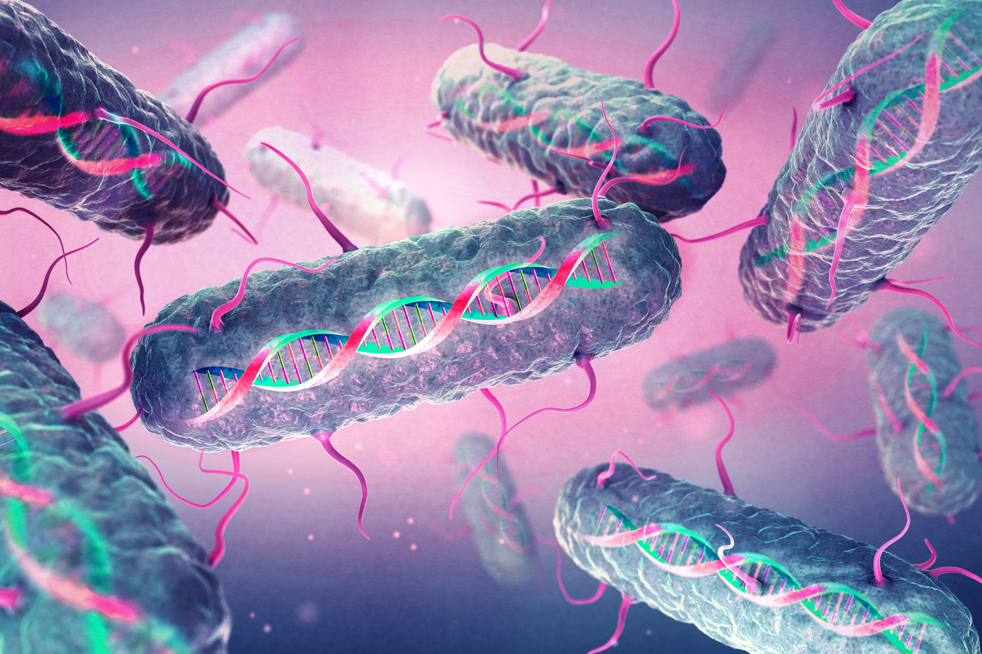 New method opens the door to efficient genome writing in bacteria | MIT