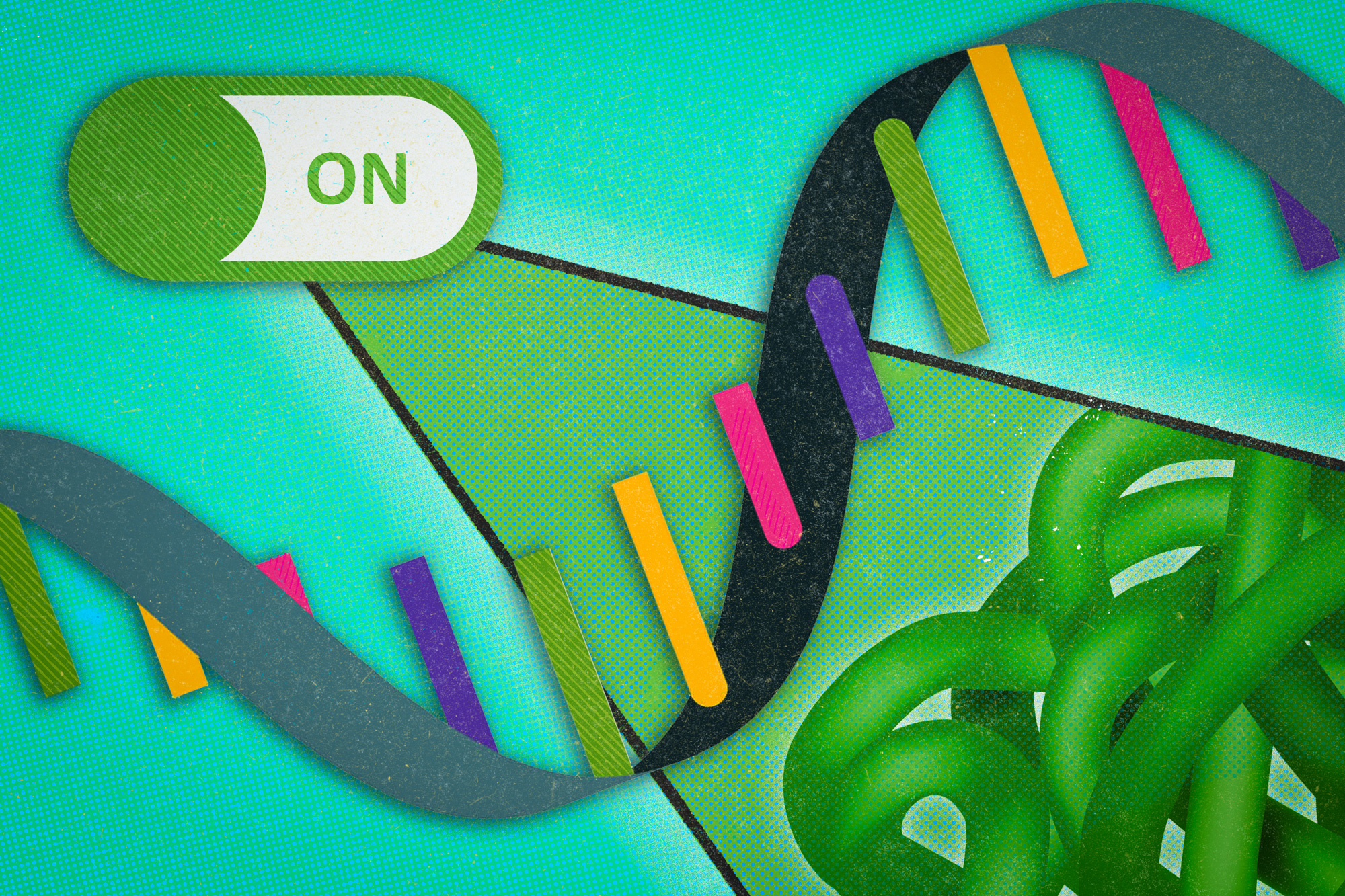 real rna strand