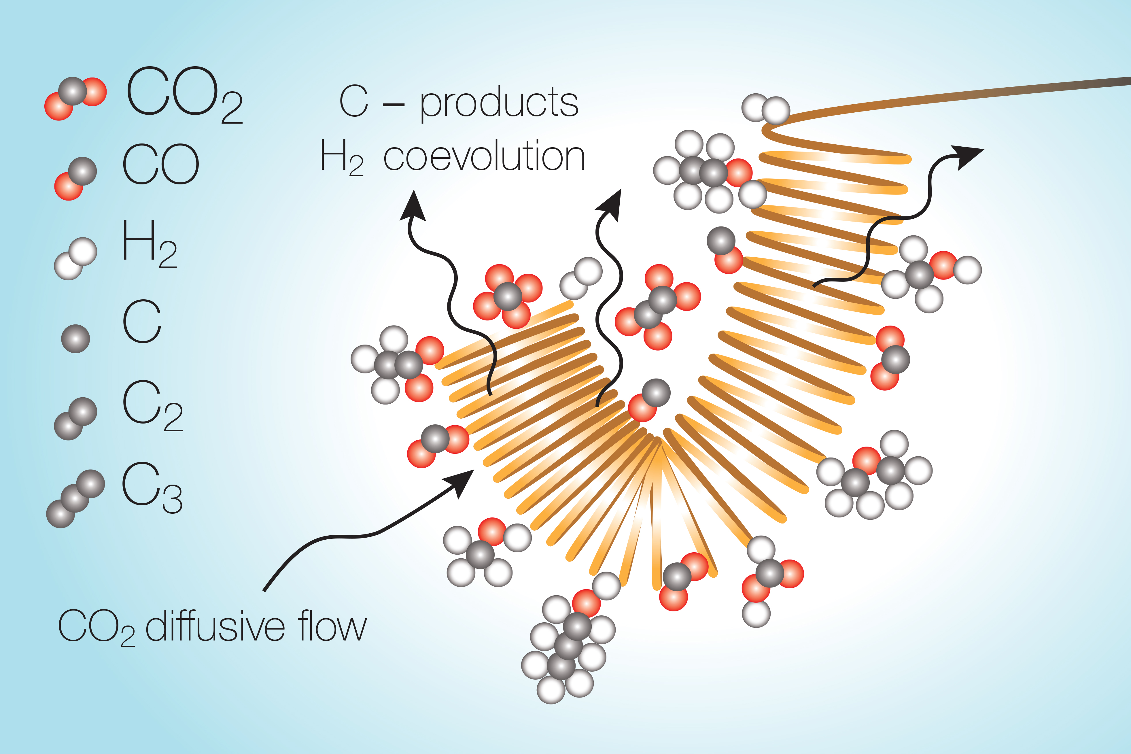 Overcoming a bottleneck in carbon dioxide conversion, MIT News