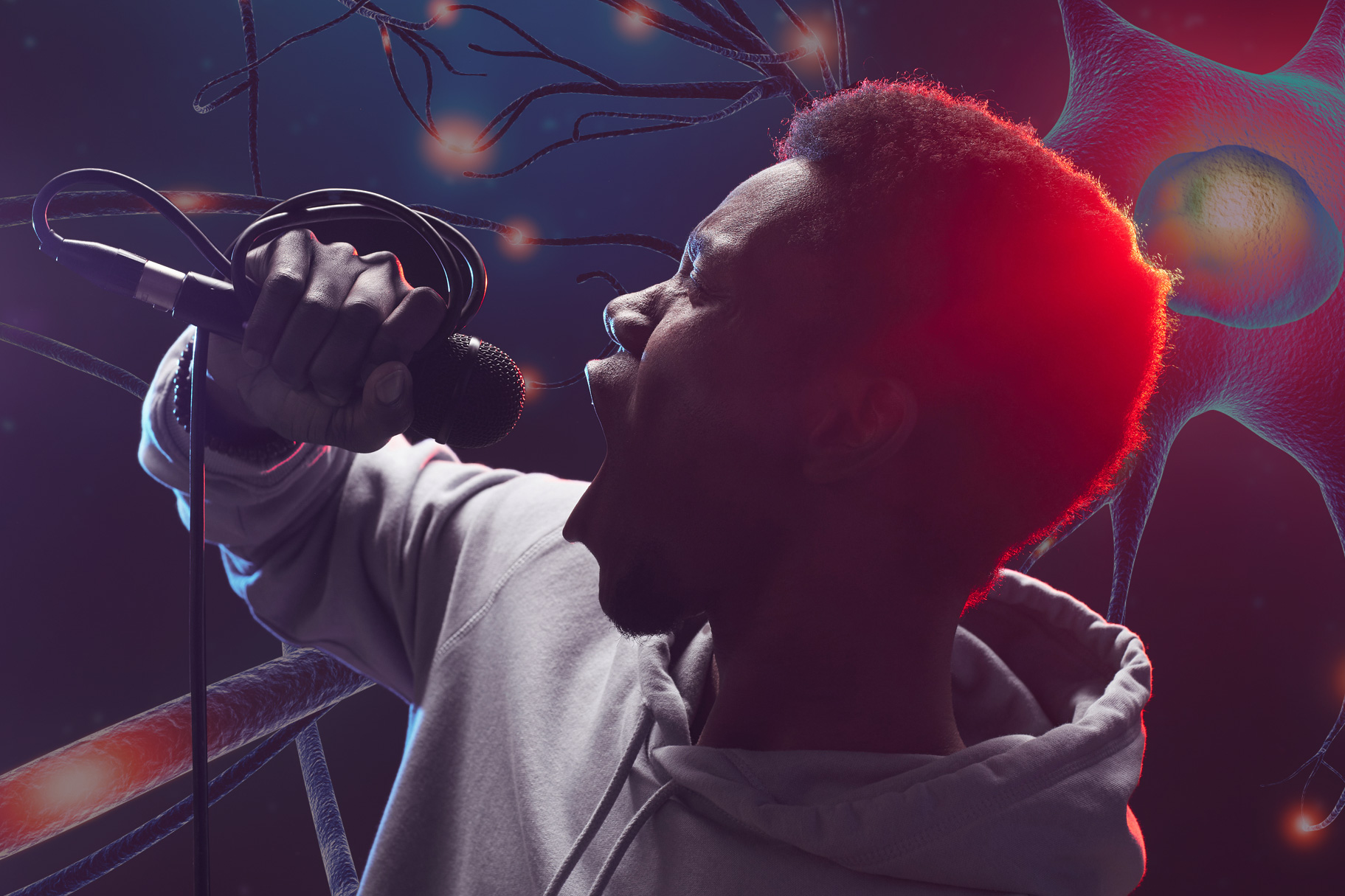 Singing in the brain | MIT News | Massachusetts Institute of Technology - MIT News