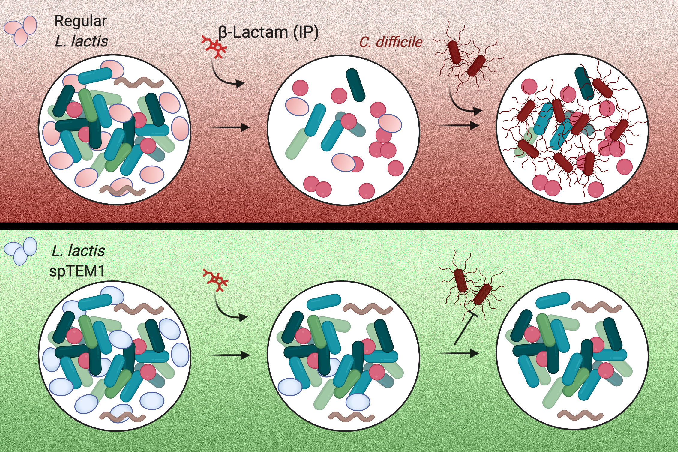 good microbes