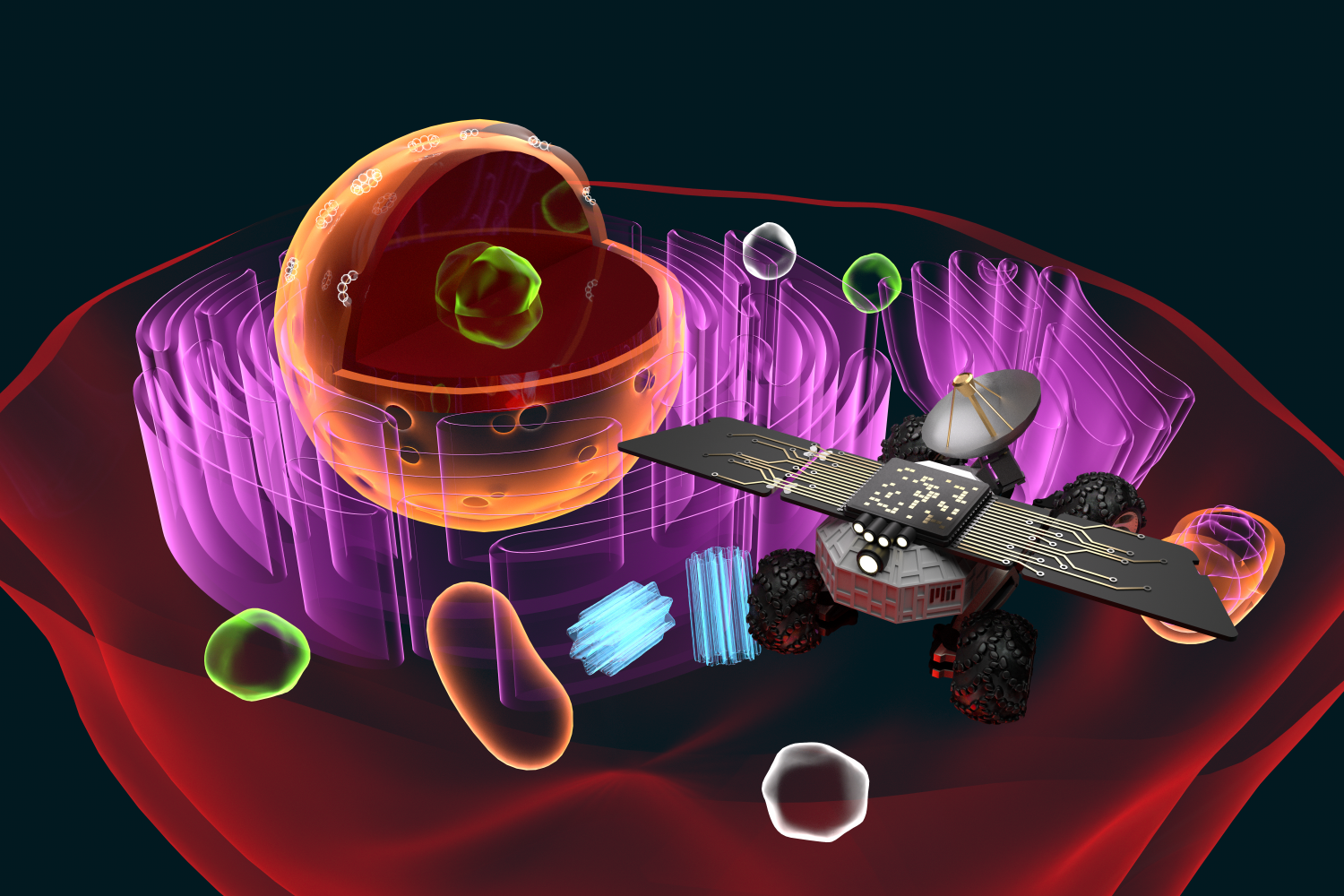 Cell Rover: Exploring and augmenting the inner world of the cell