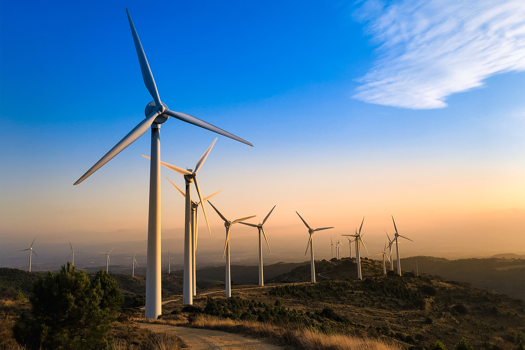 A healthy wind | MIT News | Massachusetts Institute of Technology