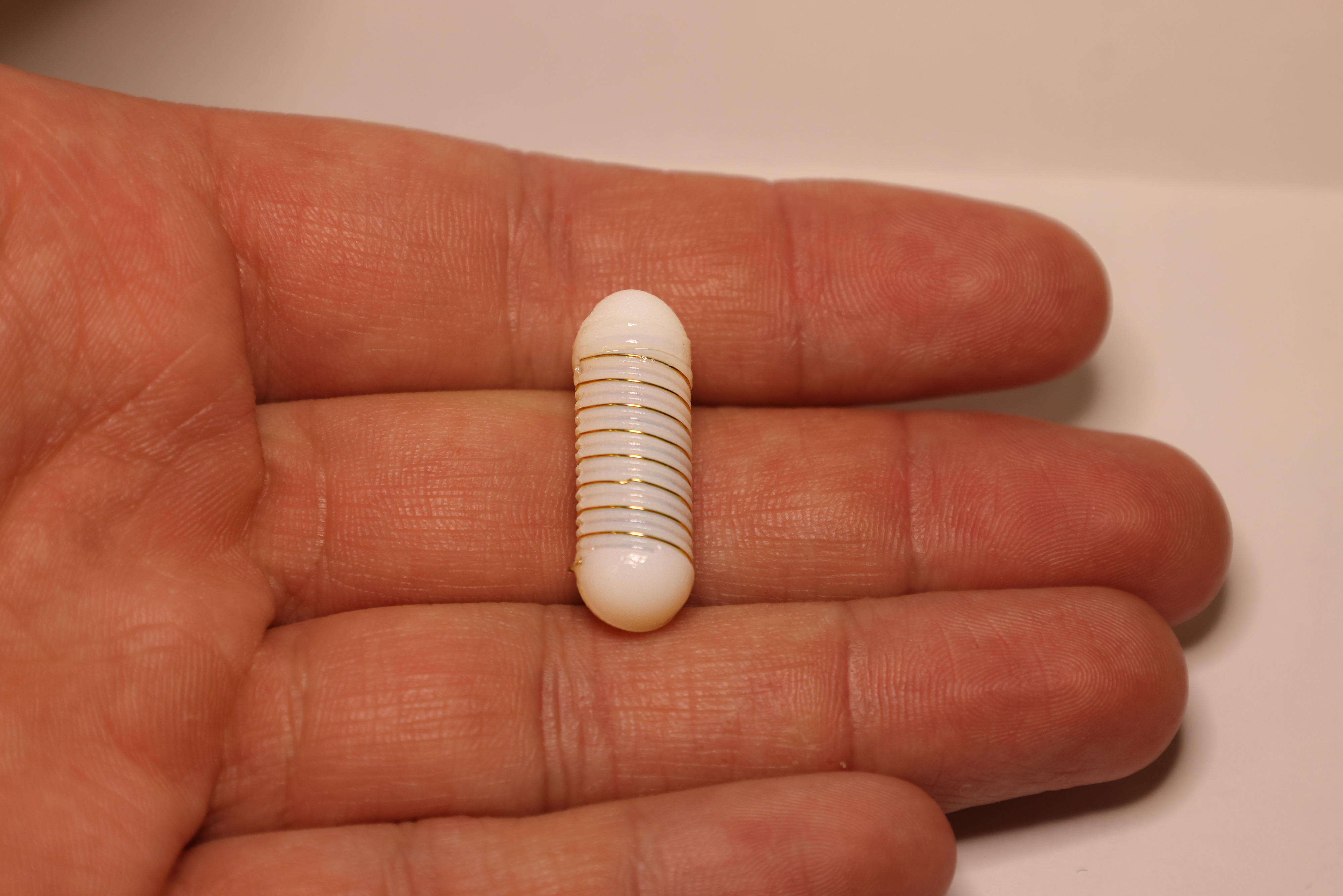 The ingestible “electroceutical” capsule stimulates hunger-regulating hormones. MIT News