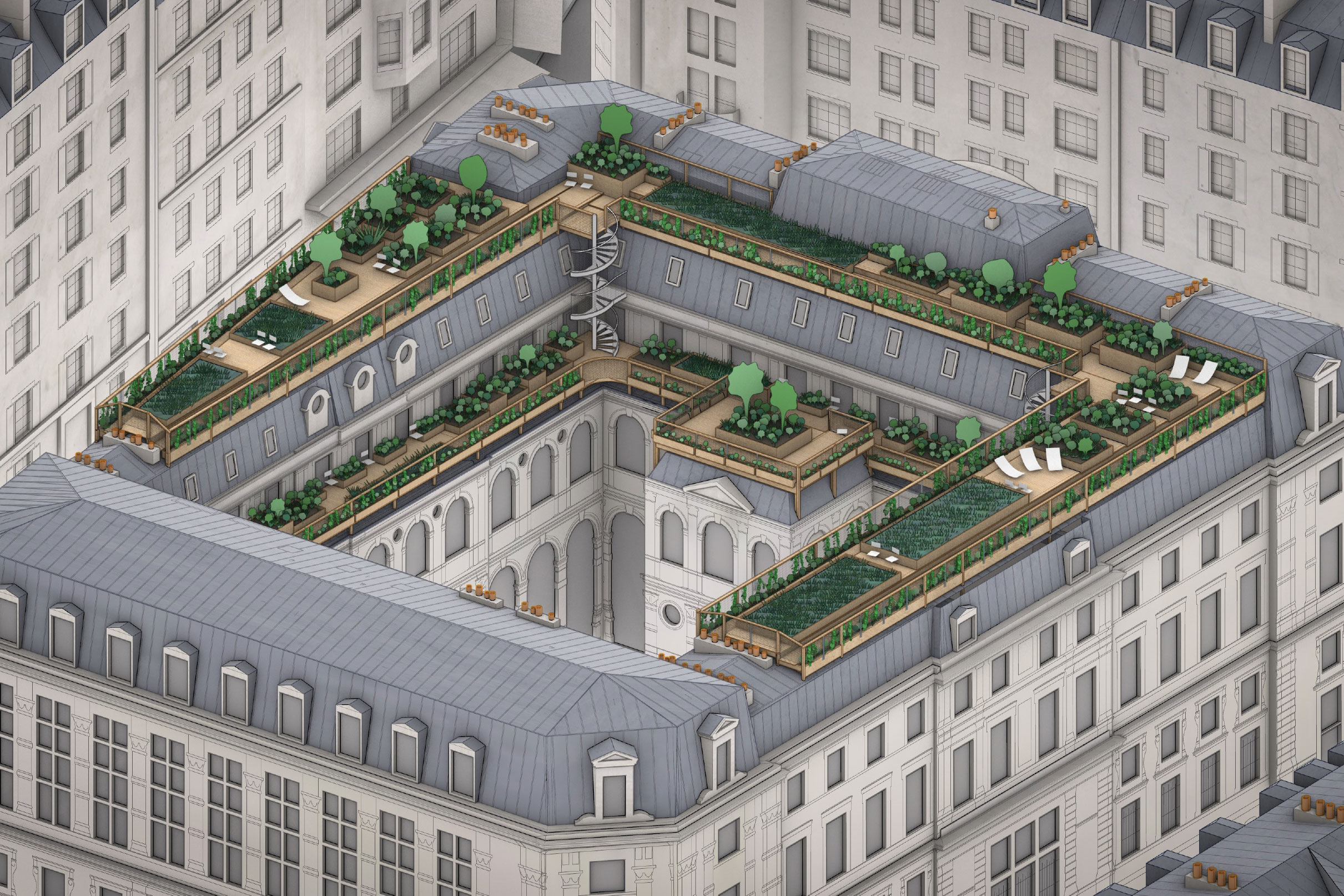 Rooftop garden - Green Conceptors