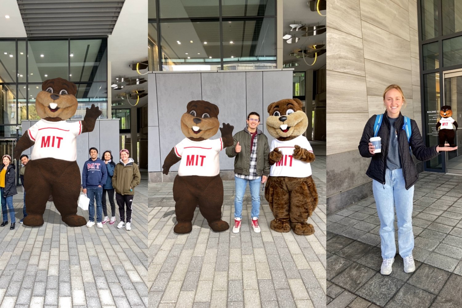 Say hello to Tim the BeaVR, MIT News