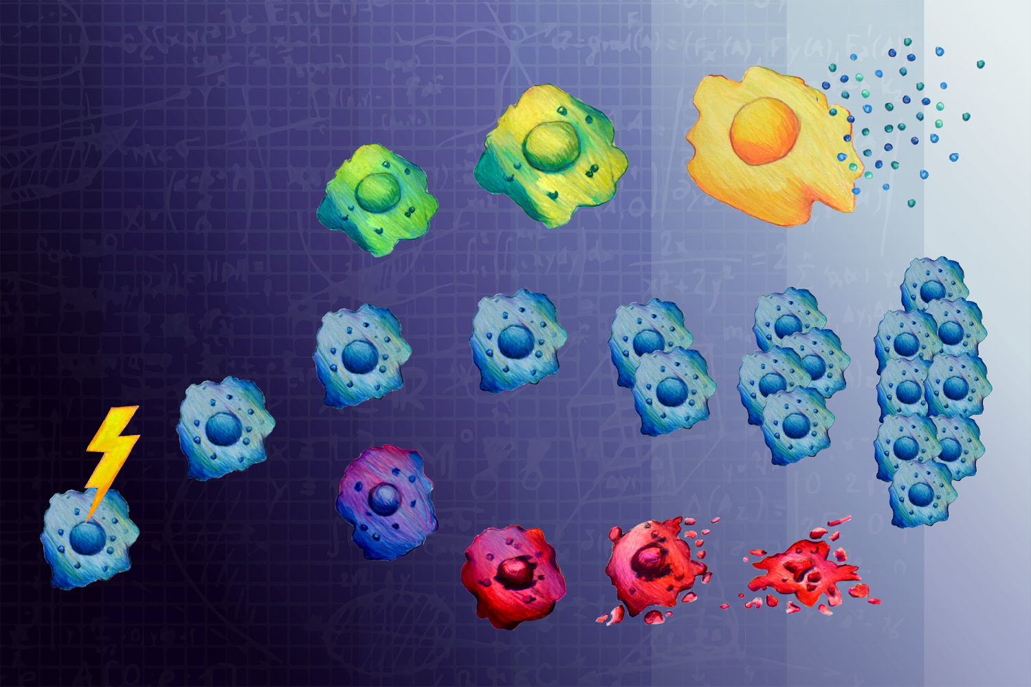 Making sense of cell fate, MIT News