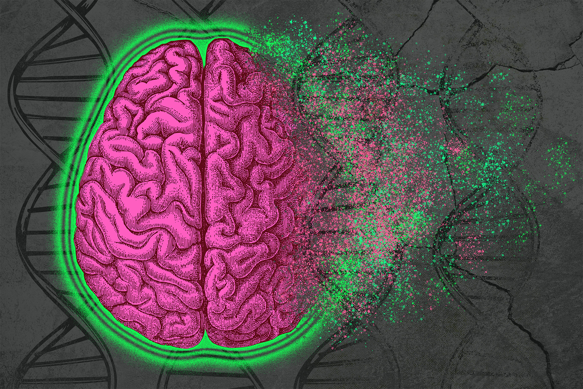 Cell by cell, scientists are building a high-resolution map of brain  changes in Alzheimer's disease - Allen Institute