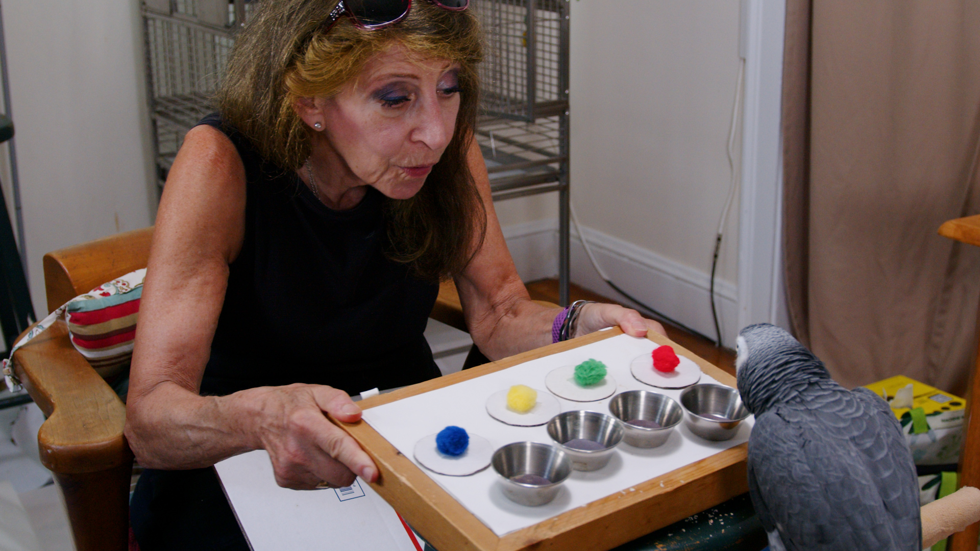 women with a pigeon and colored paints