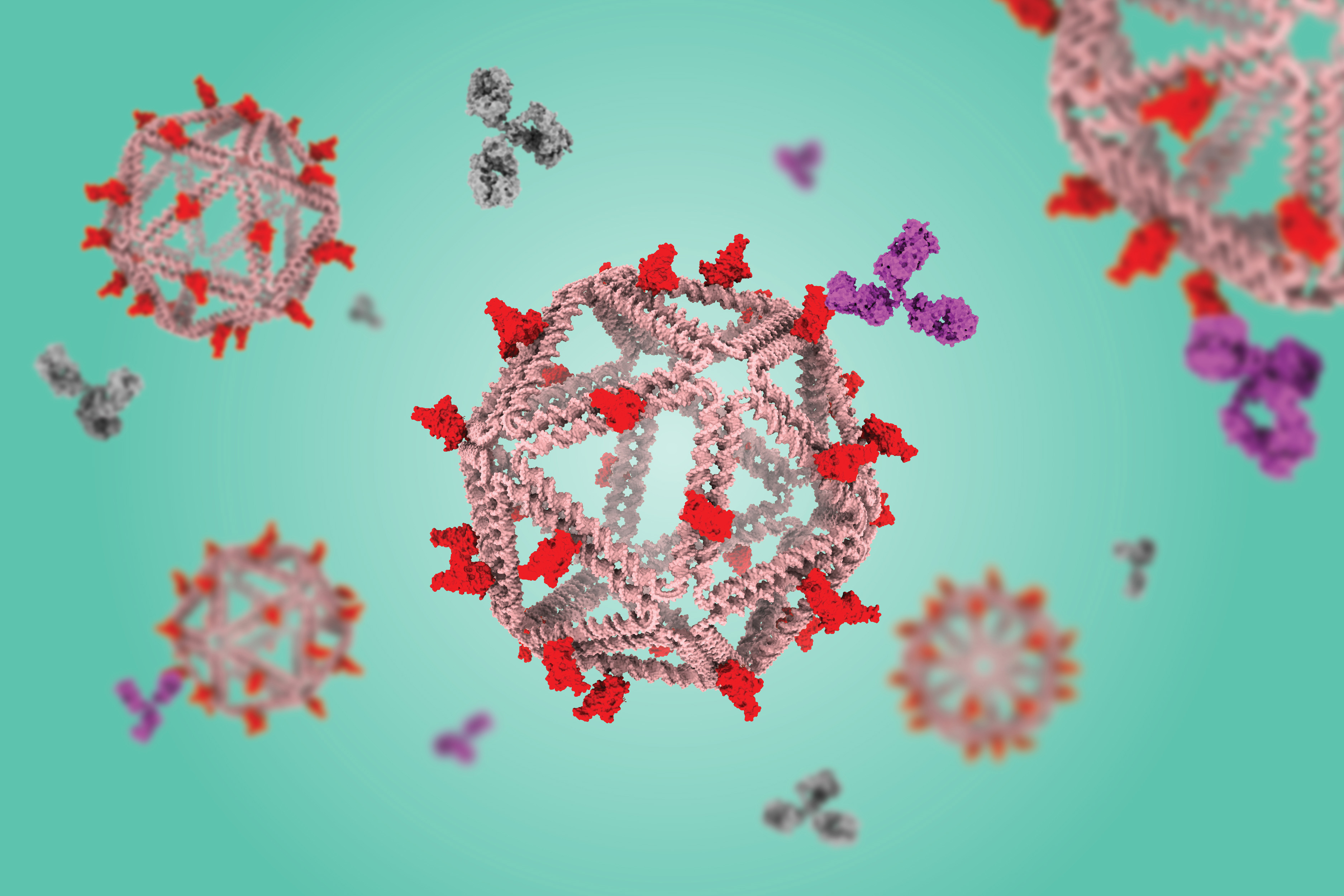You are currently viewing ذرات DNA که ویروس‌ها را تقلید می‌کنند به عنوان واکسن نویدبخش هستند |  اخبار MIT