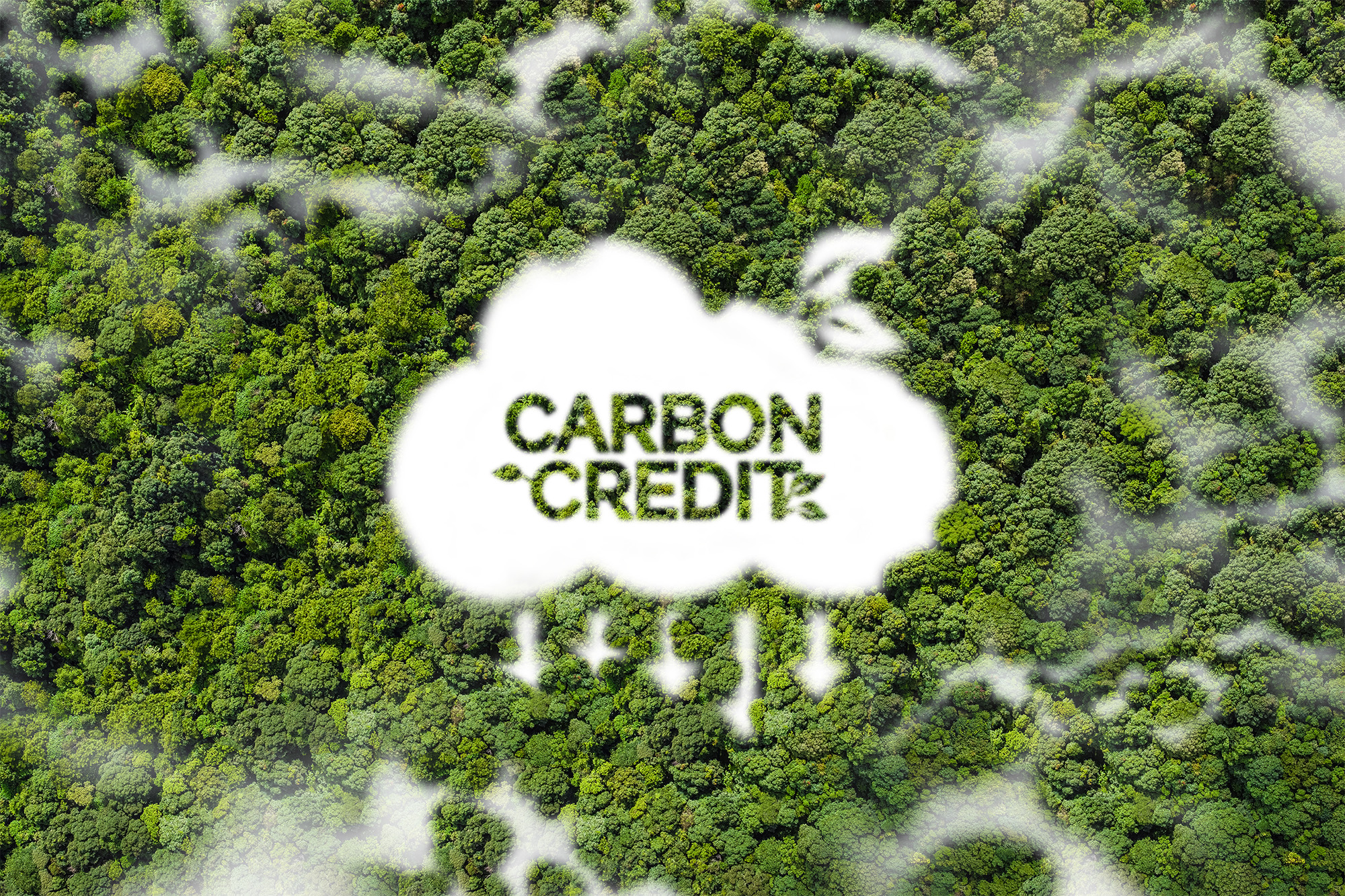 Explained: Carbon credits