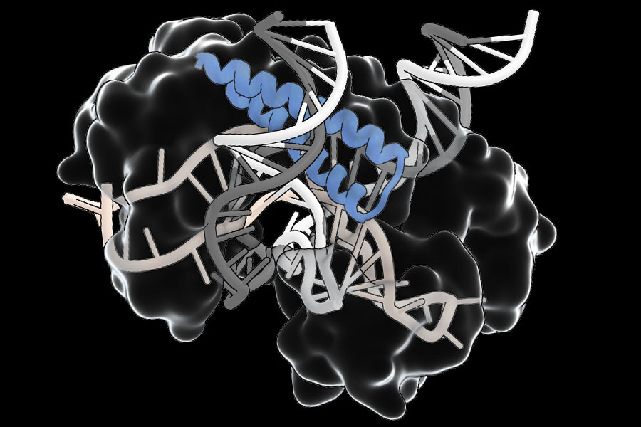 Revolutionizing Gene Editing: Ancient RNA System Simplifies Therapy Delivery | MIT News