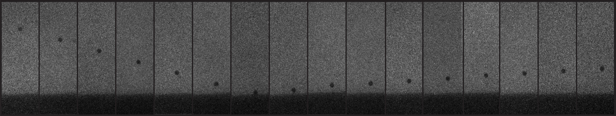  A series of 16 monochrome photos show a tiny particle bouncing on a surface.