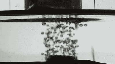 Lots of bubbles hitting the surface membrane and disappearing, but staying when the membrane is removed.