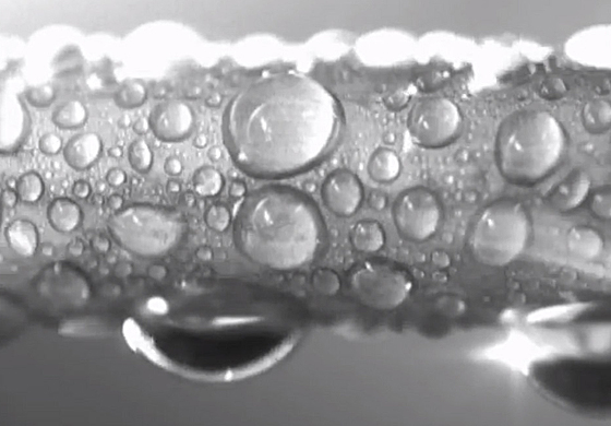 Explained Hydrophobic And Hydrophilic Mit News Massachusetts Institute Of Technology