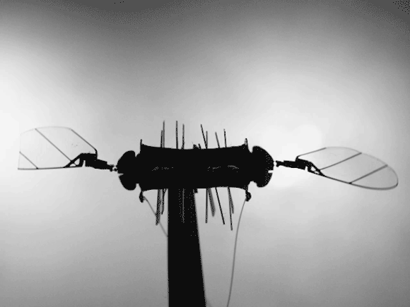 Silhouette of micro-robot, resembling a bee, flapping its wings