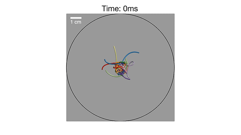 Colorful worms squiggle on a gray background while enclosed in a black circle. On the right top corner, "1 cm" is in white. The header shows an animated timer in milliseconds, ending at 1100. 