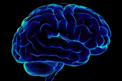 How brain waves guide memory formation, MIT News
