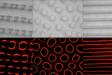Images show textures (top) and fluorescent light (bottom) produced by the new synthetic elastomer material that can mimic some of the camouflage abilities of octopuses and other cephalopods.