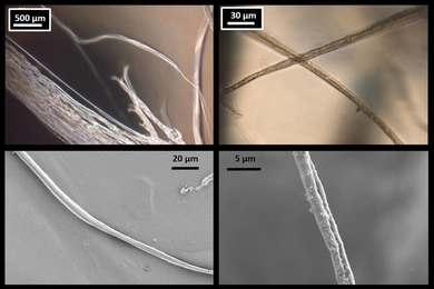Microscope images of lab-produced fibers confirm the results of the MIT researchers' simulations of spider silk. At top are optical microscope images, and, at bottom, are scanning electron microscope images. At left are fibers 8 micrometers across, and, at right, are thinner, 3 micrometer fibers.