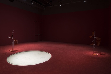 Anicka Yi's "6,070,430K of Digital Spit" at the MIT List Visual Arts Center