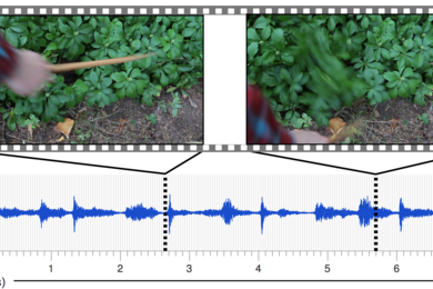 Two images of plants and audio waves