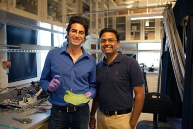 A team of researchers, including graduate student Maher Damak (left) and associate professor of mechanical engineering Kripa K. Varanasi, have found a way to drastically cut down on the amount of pesticide liquid that bounces off plants.