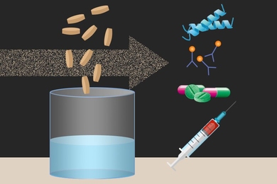 Researchers at MIT and other institutions have created tiny freeze-dried pellets that include all of the molecular machinery needed to translate DNA into proteins, which could form the basis for on-demand production of drugs and vaccines.