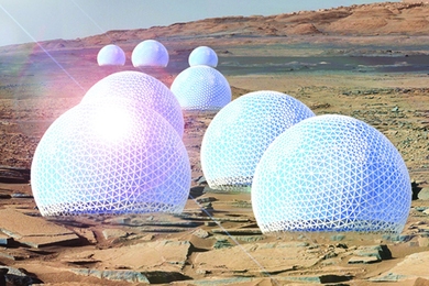 An MIT team won first place for urban design with the Redwood Forest, a series of woodsy habitats enclosed in open, public domes that would reside on the Martian surface.