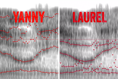 MIT neuroscientists explain why some people hear "Yanny" and others hear "Laurel" in the audio clip that has taken the world by storm. 