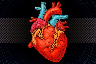 A preserved heart muscle (1) is removed and replaced with a soft synthetic matrix (2). The two structures (inner cardiac tissue and synthetic matrix) (3) are bonded using a newly developed adhesive, TissueSil (4). The resulting piece is the biohybrid heart containing the preserved intracardiac structures and synthetic heart muscle (5).