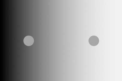 An MIT-led research team has discovered evidence that a classic visual illusion called simultaneous brightness contrast, such as the one seen here, relies on brightness estimation that takes place in the retina, not the brain’s visual cortex. In this image, the two small discs appear to have different brightness despite having identical luminance.
