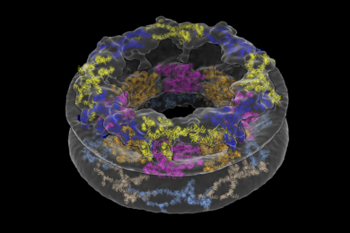 An illustration of the nuclear pore complex features a translucent donut shape against a black background. The donut is embedded with colorful blobs of bunched-up helixes, representing proteins
