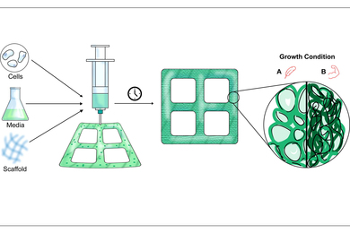 molecular process for wood material