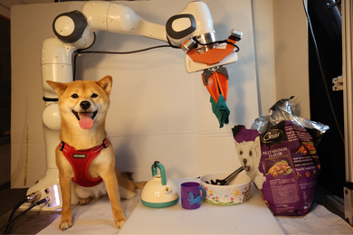 In the lab, a dog sits next to a big white robot arm, dog food, bowl, tea pot, and mug.