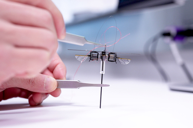 An insect-sized robot with wings