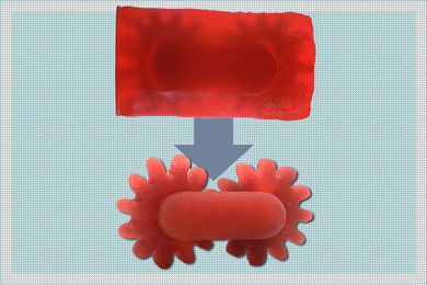 Two 3-D printed sets of gears, one with the back support in place, and the other with the surrounding support gone