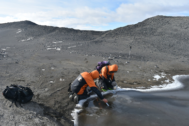 Researchers taking samples from a small pool of water