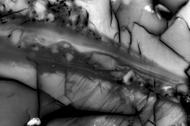 Scanning electron photomicrograph highlights a region of rock that slipped during a laboratory-induced earthquake