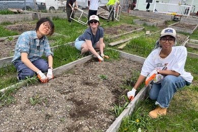 Kaidi Liu, Zaynab Eltaib, and Olivia Fiol pause their work on a raised garden bed to smile at the camera. At least five other beds are visible in the frame.