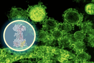 Green bacteria over a black background, with the enterololin compound overlaid in a translucent glowing circle that has a yellow outline.