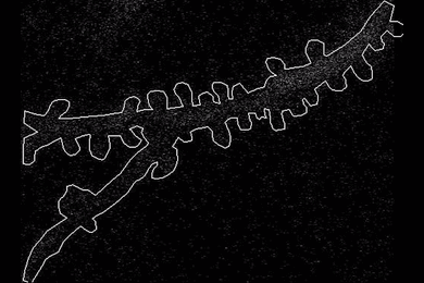 Over a black background, a forked branch of a neural dendrite runs from left to right. The dendrite is outlined in white and the outline fills in with a bright flash of thousands of white dots.
