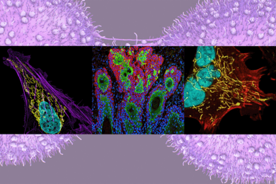 Three screens of colorful cancer cells
