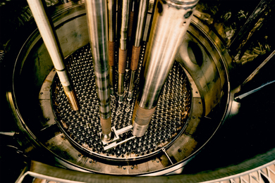 The fuel assembly is made of thin metallic rods (batteries) with a pointy end.