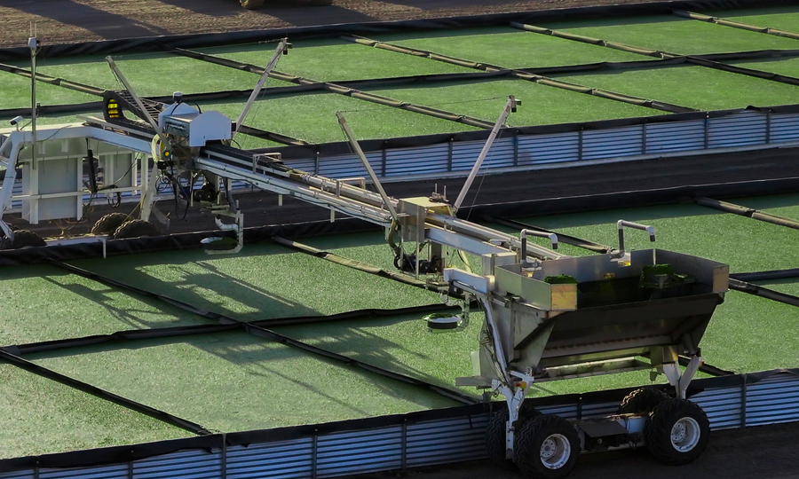 Machines and crops in a field