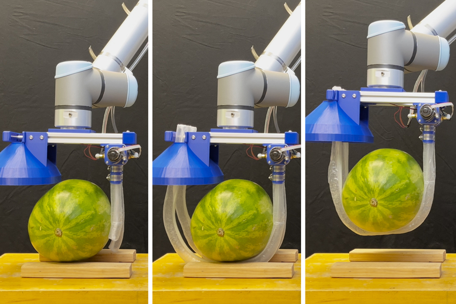 Three photos show a watermelon being picked up by tubes from a robot.